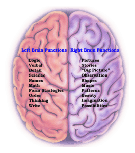 leftbrainrightbrain - 3D Animation Studio