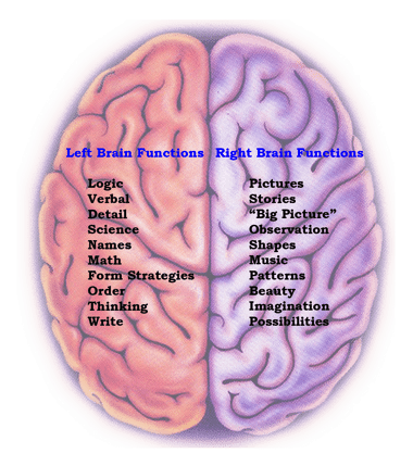 Lateralization of brain function - Brain