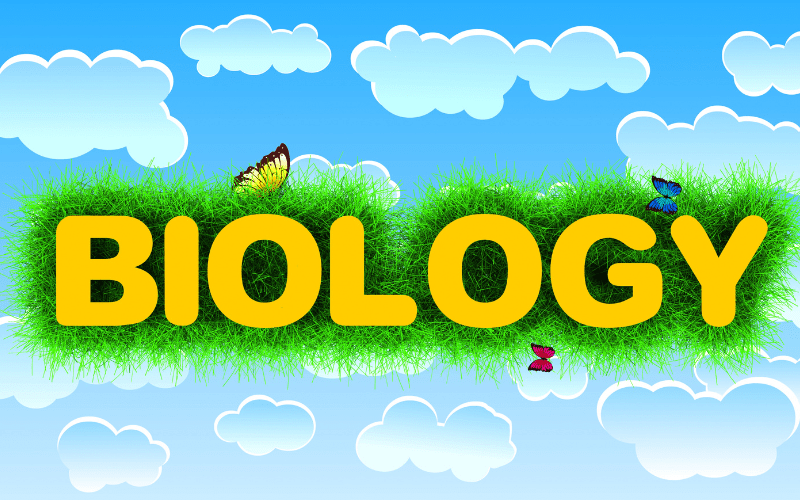 3D Biology Animation: The Future Of Educational Technology