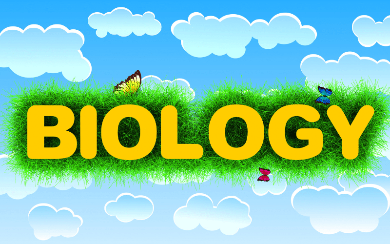 3D Biology Animation