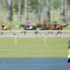 3D animated horse race scene showing jockeys and horses in action with live rankings overlay