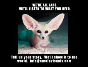 6-17_foxears, We're All Ears