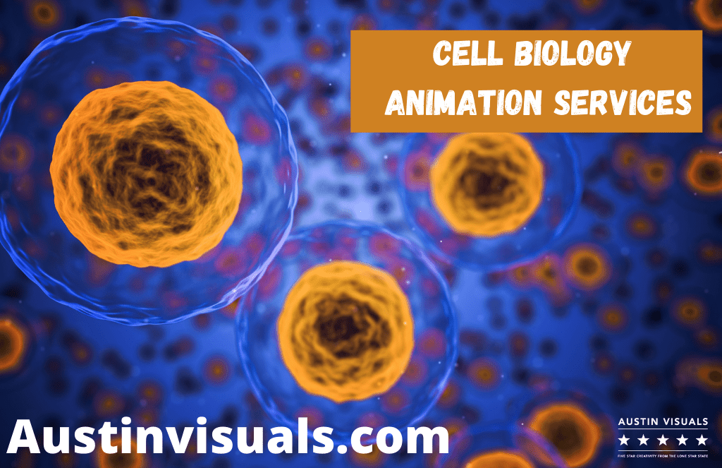 Cell Biology Animation Services
