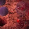 Drug mechanism action 3D animation targeted cells drug interaction immune response biological process