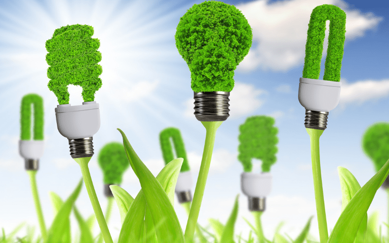 Green Energy Explainer Video – How Much Does it Cost?