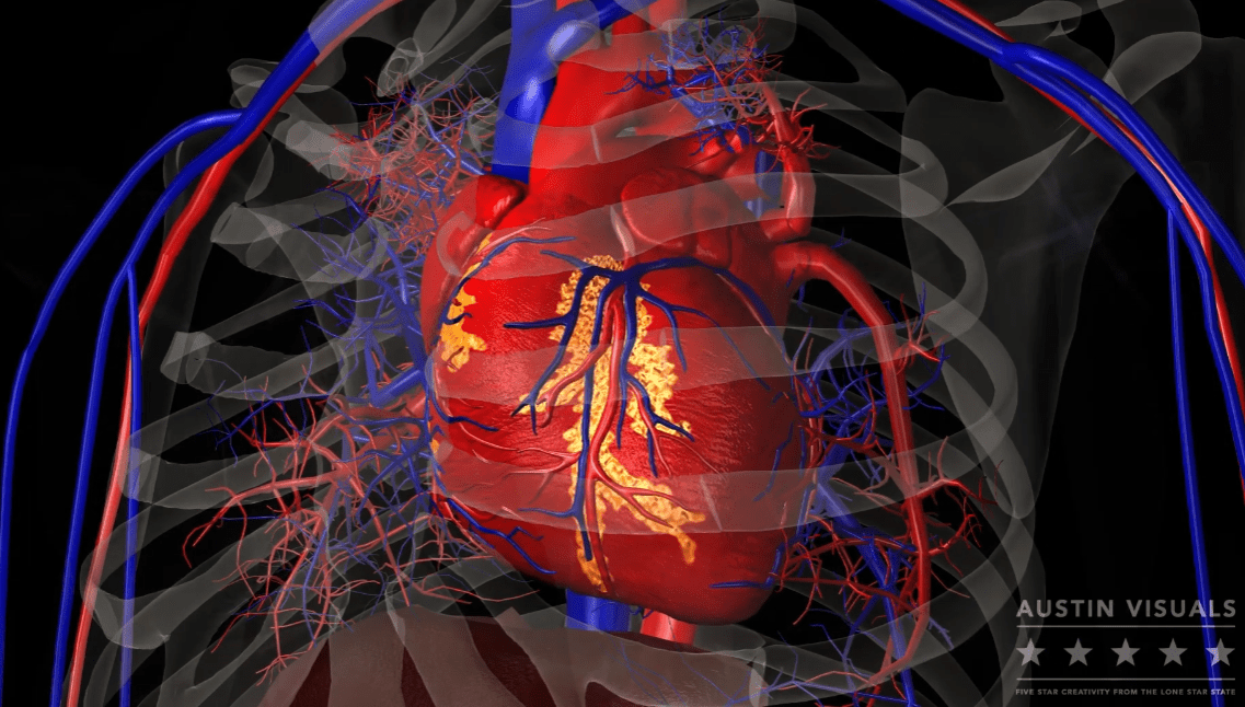 Austin Visuals: The Best 3D Medical Illustrations Company
