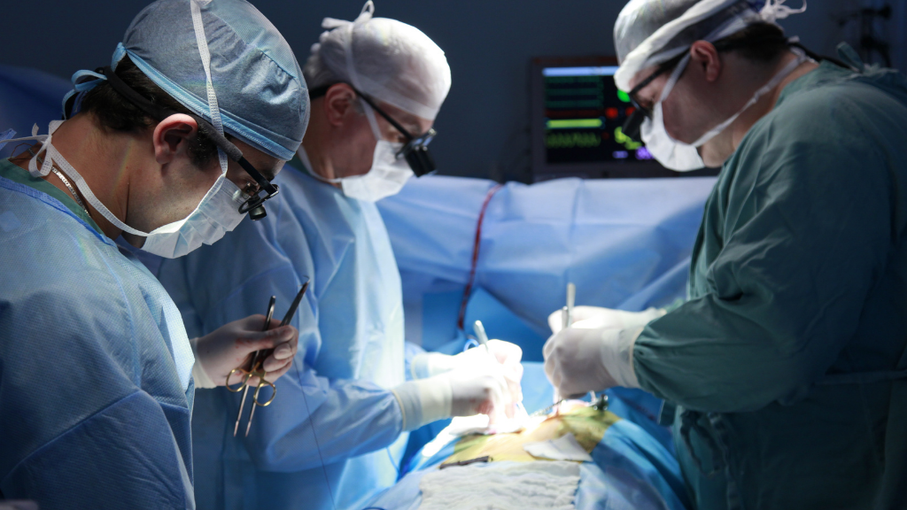 How Can 3D Animation Help in Medical Malpractice Cases?