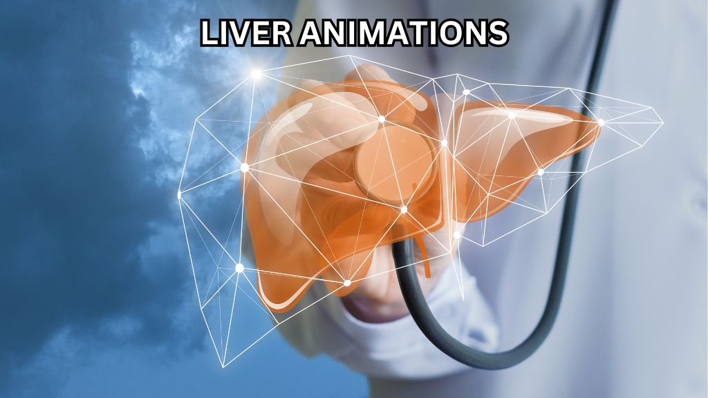 Liver Animations medical animation