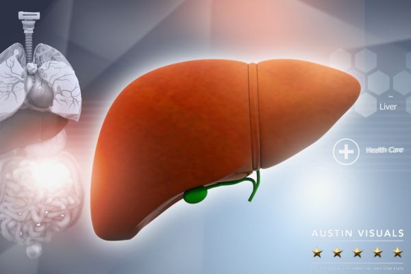 Liver Animations