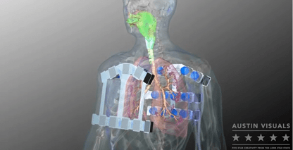 Respiratory 3D Visualization