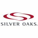 Silver_Oaks-media-agency-austin-visuals-3d-animation-company-product-prototype-motion-graphics-design-videos-best-chicago