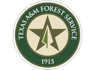 Texas a m forest service