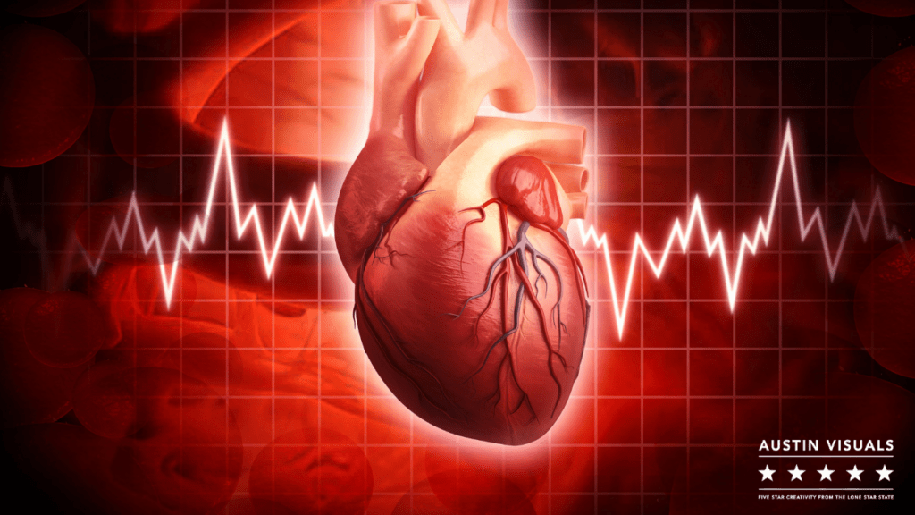 3d heart anatomy animation showing a representation of the heart in a 3d animated while beating