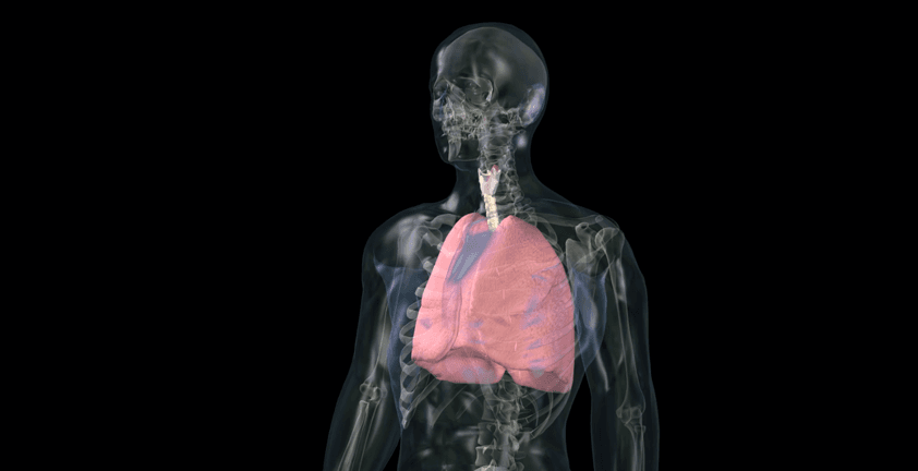 Asthma Attack Animated 3D Visualization