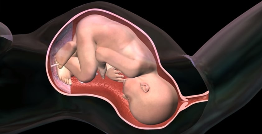 Childbirth Medical 3D Animation