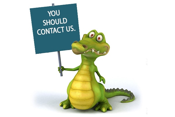 green animated crocodile company marketing animation telling to contact them